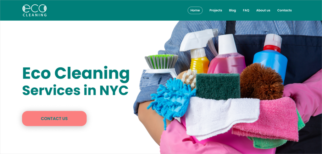 eco cleaning services